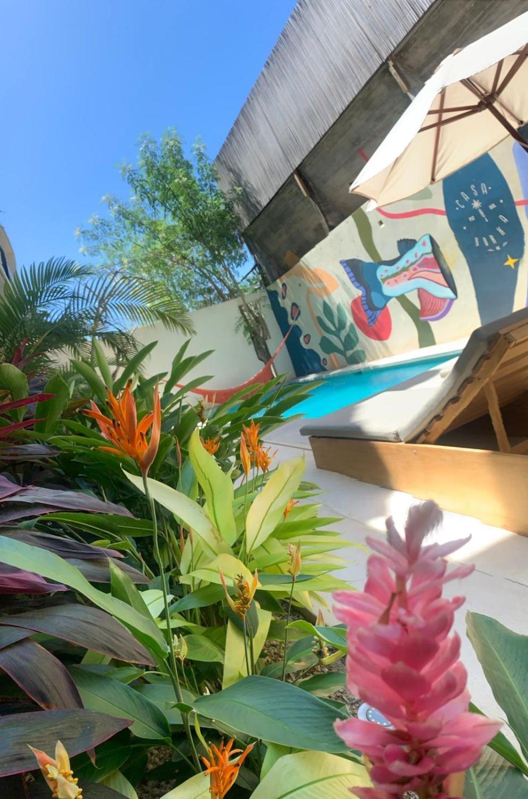 Casa Borka Apartment Puerto Escondido  Exterior photo