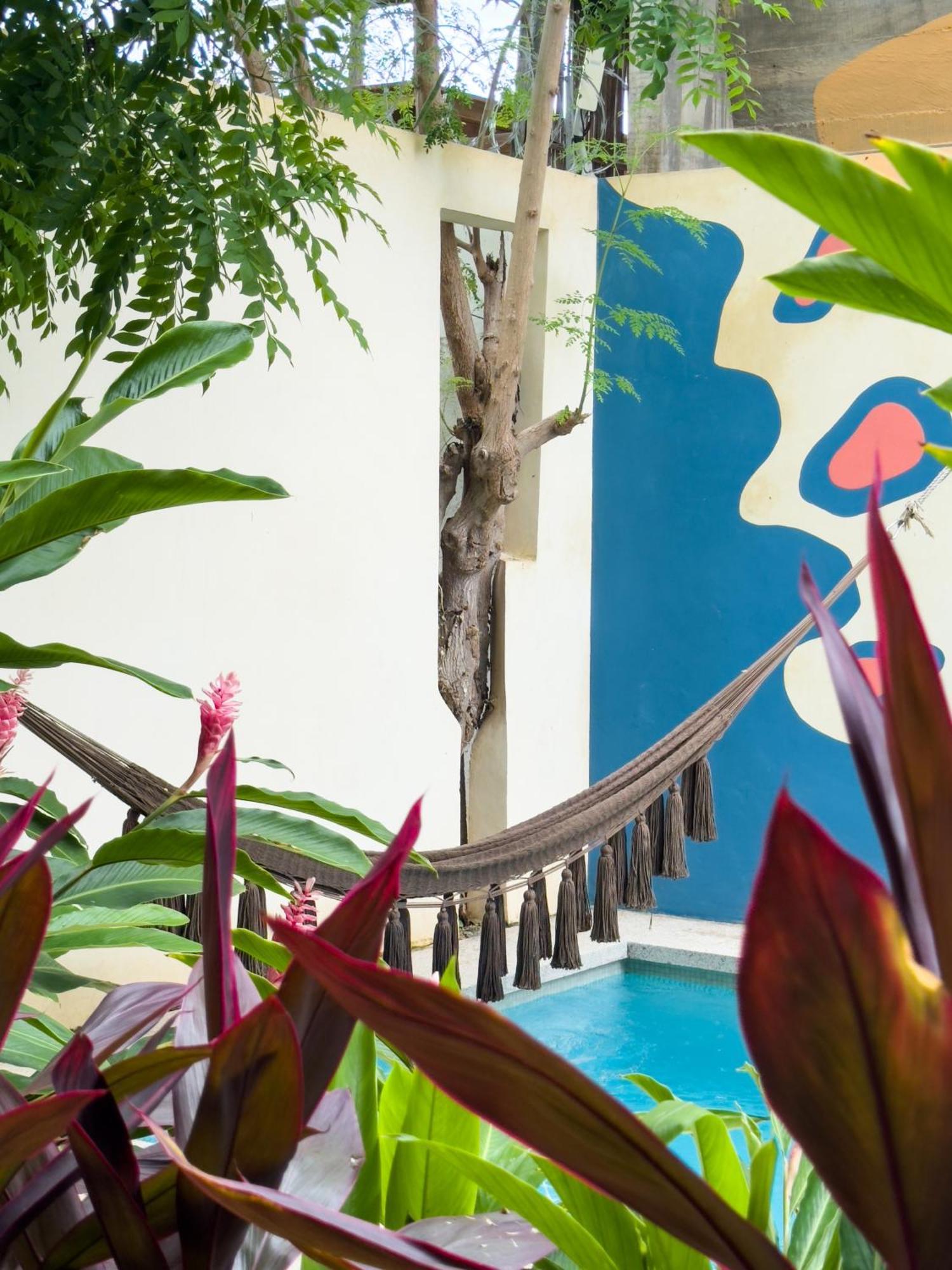 Casa Borka Apartment Puerto Escondido  Exterior photo
