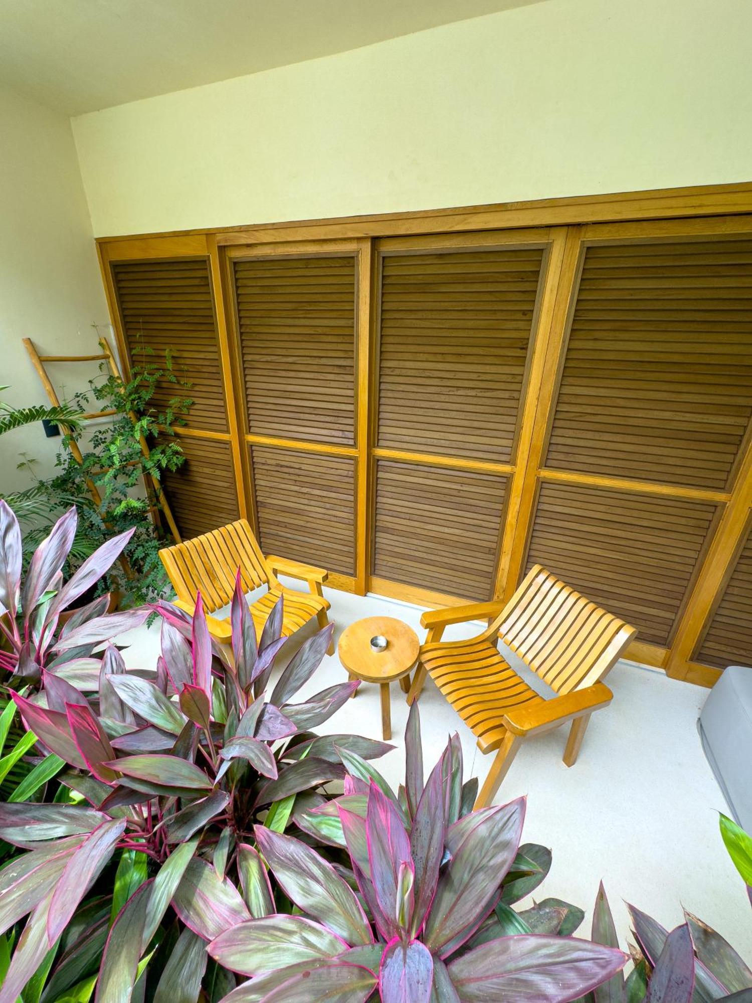 Casa Borka Apartment Puerto Escondido  Exterior photo